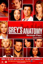 Grey's Anatomy - 11 x 17 TV Poster - Style E