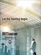 Grey's Anatomy - 11 x 17 TV Poster - Style I