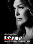 Grey's Anatomy - 11 x 17 TV Poster - Style J