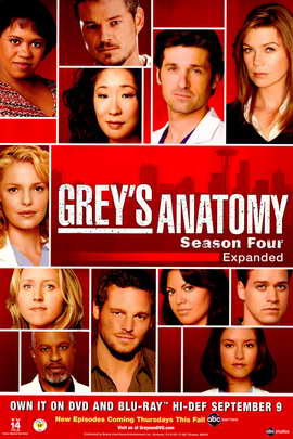 Grey's Anatomy - 11 x 17 TV Poster - Style E