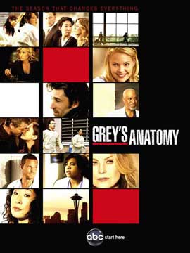 Grey's Anatomy - 11 x 17 TV Poster - Style H