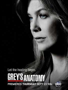 Grey's Anatomy - 11 x 17 TV Poster - Style J