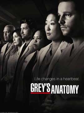 Grey's Anatomy - 11 x 17 TV Poster - Style K