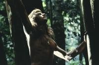 Greystoke: The Legend of Tarzan, Lord of the Apes - 8 x 10 Color Photo #10
