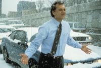 Groundhog Day - 8 x 10 Color Photo #11