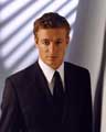 The Guardian (TV) - 8 x 10 Color Photo #065