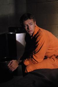 The Guardian (TV) - 8 x 10 Color Photo #074