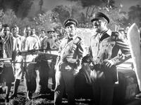 Guns at Batasi - 8 x 10 B&W Photo #6
