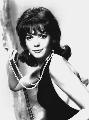 Gypsy - 8 x 10 B&W Photo #3