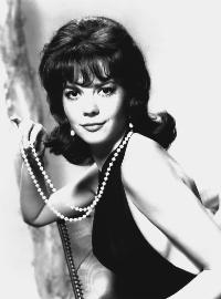 Gypsy - 8 x 10 B&W Photo #3