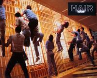 Hair - 8 x 10 Color Photo #6