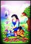 Happily Ever After - 8 x 10 Color Photo #1