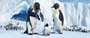 Happy Feet - 8 x 10 Color Photo #1