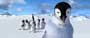 Happy Feet - 8 x 10 Color Photo #2
