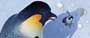 Happy Feet - 8 x 10 Color Photo #5