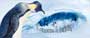 Happy Feet - 8 x 10 Color Photo #7