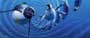 Happy Feet - 8 x 10 Color Photo #8