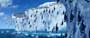 Happy Feet - 8 x 10 Color Photo #11