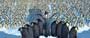 Happy Feet - 8 x 10 Color Photo #17