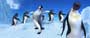 Happy Feet - 8 x 10 Color Photo #20
