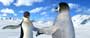 Happy Feet - 8 x 10 Color Photo #21