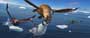 Happy Feet - 8 x 10 Color Photo #24
