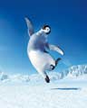Happy Feet - 8 x 10 Color Photo #32
