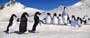 Happy Feet - 8 x 10 Color Photo #39