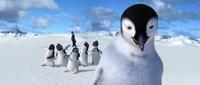 Happy Feet - 8 x 10 Color Photo #2