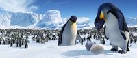 Happy Feet - 8 x 10 Color Photo #3