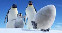 Happy Feet - 8 x 10 Color Photo #4