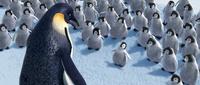 Happy Feet - 8 x 10 Color Photo #6