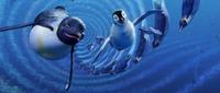 Happy Feet - 8 x 10 Color Photo #8