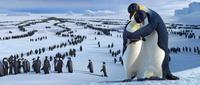Happy Feet - 8 x 10 Color Photo #10