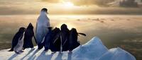 Happy Feet - 8 x 10 Color Photo #12