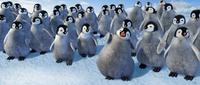 Happy Feet - 8 x 10 Color Photo #15