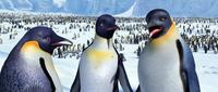 Happy Feet - 8 x 10 Color Photo #16