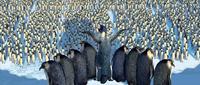 Happy Feet - 8 x 10 Color Photo #17