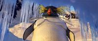 Happy Feet - 8 x 10 Color Photo #18