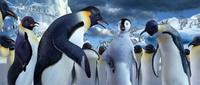 Happy Feet - 8 x 10 Color Photo #19