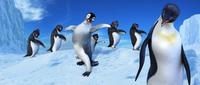 Happy Feet - 8 x 10 Color Photo #20