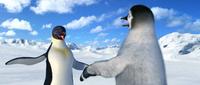 Happy Feet - 8 x 10 Color Photo #21