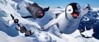 Happy Feet - 8 x 10 Color Photo #25