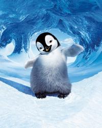 Happy Feet - 8 x 10 Color Photo #29