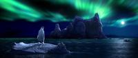Happy Feet - 8 x 10 Color Photo #42
