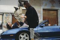 Hard Target - 8 x 10 Color Photo #8