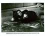 Hard to Kill - 8 x 10 B&W Photo #3