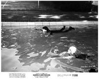 Harold and Maude - 8 x 10 B&W Photo #1