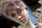 Harry Potter and the Deathly Hallows: Part I - 8 x 10 Color Photo #6