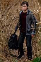 Harry Potter and the Deathly Hallows: Part I - 8 x 10 Color Photo #9